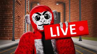 Scary Baboon With Viewers - Live (NEW UPDATE)