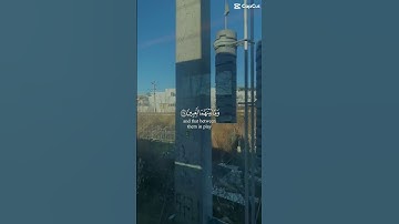 اللهم اجعل القران الكريم شفيعاً لنا يوم القيامة و مؤنساً لنافي وحشة القبر🤲