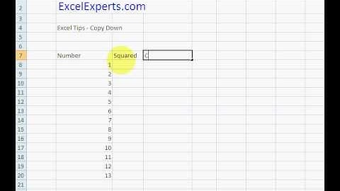 ExcelExperts.com  - Excel Tips - Copy Down