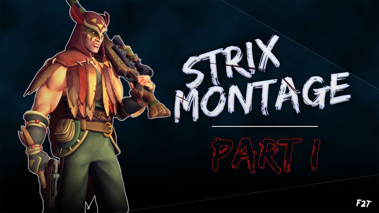 STRIX MONTAGE PART I - THE SNIPER ! (PALADINS!) FR