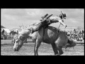 2016 prorodeo hall of fame inductee david appleton