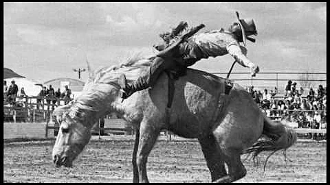 2016 ProRodeo Hall Of Fame Inductee: DAVID APPLETON