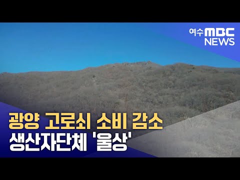 광양 고로쇠 소비 감소 생산자단체 &amp;#39;울상&amp;#39; (250321금/뉴스데스크)