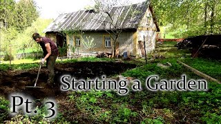 How to Start a Garden from Scratch