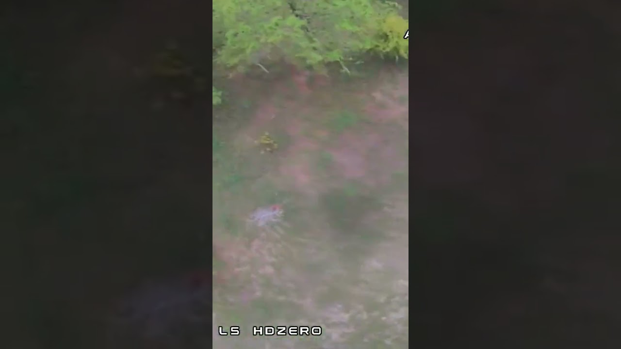 HDZero freestyle VTX 