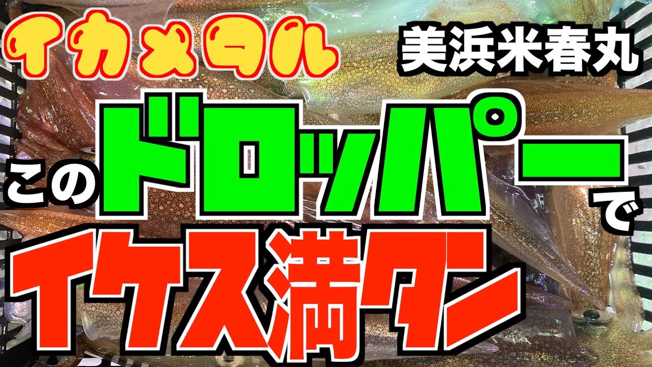 【ヤリイカメタル】ヤリイカにはこのドロッパー！イケス満タン