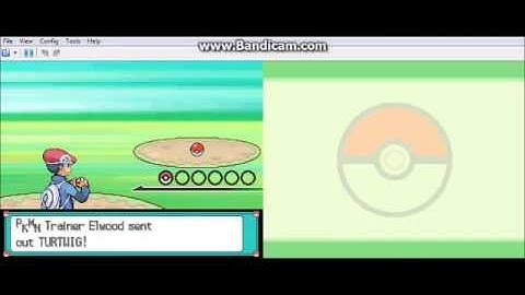 Pokemon Platinum Random Monotype Challenge -  Part 1 - THE BLUES BROTHERS!!