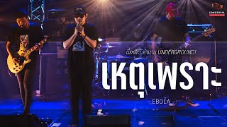 เหตุเพราะ - EBOLA | นี่แหละ..ตำนาน UNDERGROUND! | Songtopia Livehouse