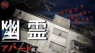 カメラは捉えた!恐怖の「幽霊アパート」スペシャル