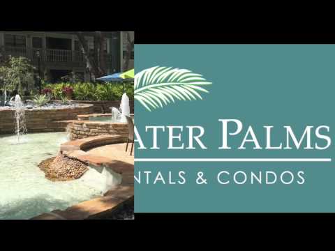 Stillwater Palms Apartments I Cypress Floor Plan I Palm Harbor, FL