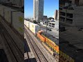 CSX train I188 with BNSF power rolls to a stop in Birmingham, AL #train #foamer #csxrailroad