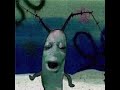 Plankton Face Meme AAARRGGGHHH Memes Shorts Azj 2002 Plankton Plankton Face Meme AAARRGGGHHH Memes Shorts Azj 2002 Plankton