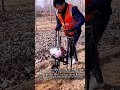 수작업보다 10배 빠른 순식간에 땅 파는 전문 장비의 위력 #worker #process #powerful #equipment #earthauger