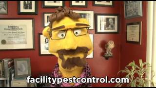 Facility Pest Control - Hidden Hills, Chatsworth, Northridge