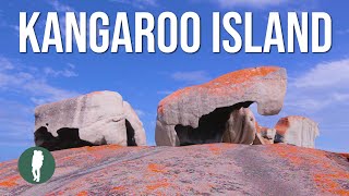 Kangaroo Island | Australia Nature | South Australia | Wildlife | Landscapes by Into the Wild Films 21,366 views 3 years ago 8 minutes, 9 seconds