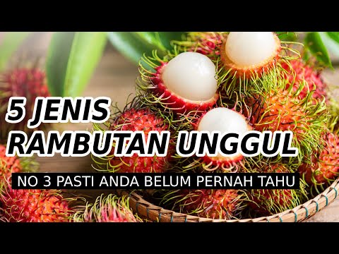 Buat Rambutan
