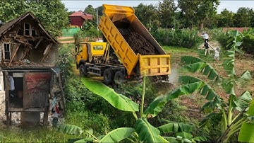 Wonderful Start new A project landfill by team dump truck with skill dozer push soil clearing forest