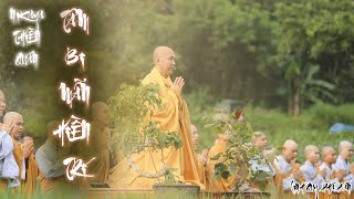 NIKAYA Thiền Quán - Tâm Bi Mẫn Hiền Trí.