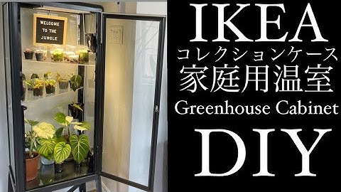 室内温室 Youtube
