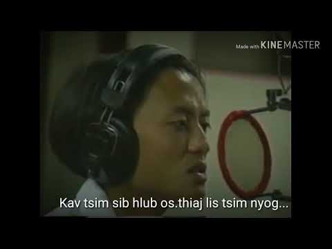 Video: Yuav Ua Li Cas Dai Daim Iav Qub