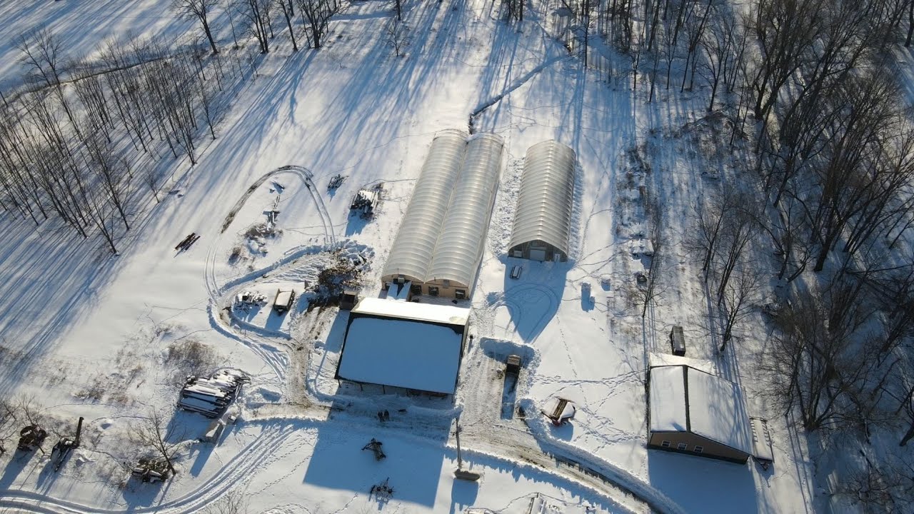 Winter causes problems in the greenhouse!