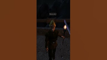 Killing the adoring fan in Morrowind every day until Skywind and Skyblivion are released Day - 155