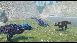 Acro Mate Challenge Bob