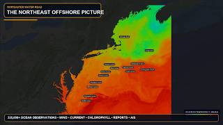 Where the Offshore Water Lines Up Daily Water Read August 5 2026