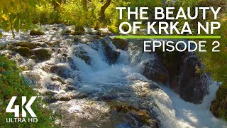 8 HRS Bird Songs & Falling Water Sounds - Nature Soundscape of Krka National Park, Croatia - Ep. 2