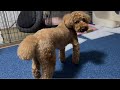 夜中の突然のパニック