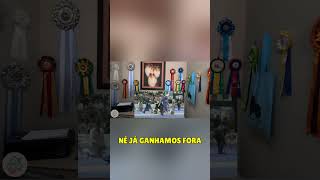 Revelando os pastores de Shetland Vencedores de Prêmios #pastordeshetland #pets #cachorros