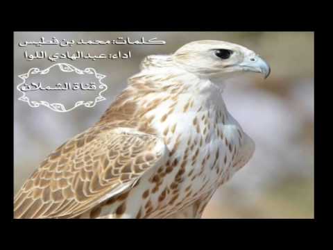 شيلة مشتاق عوق النايره كلمات محمد بن فطيس اداء عبدالهادي اللوا