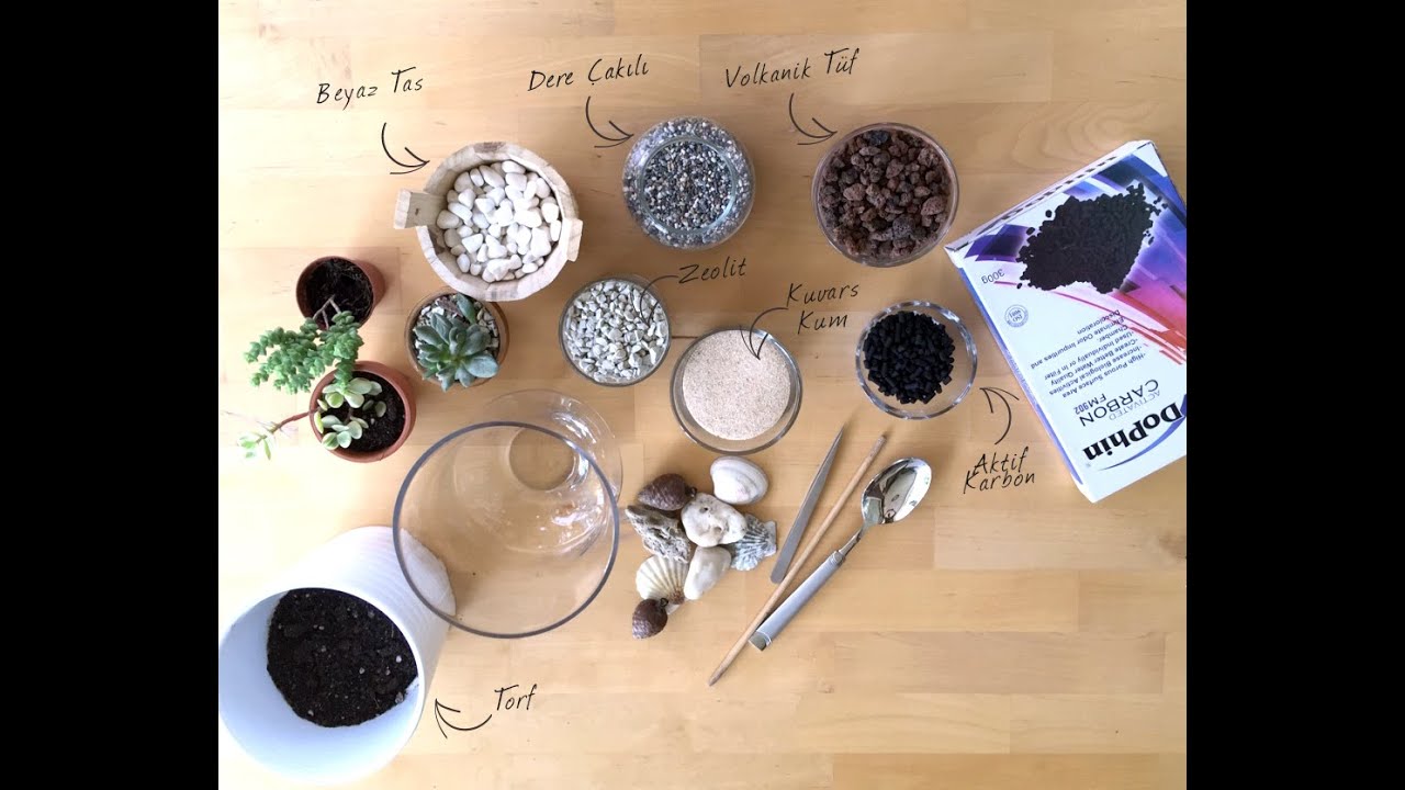 How to make a Succulent Terrarium - Sukulent teraryum yapımı