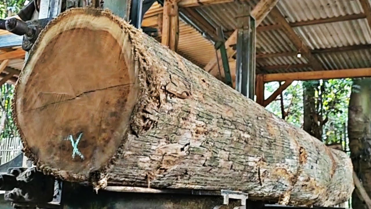 the amazing process of sawing old teak logs full of beautiful grain in ...
