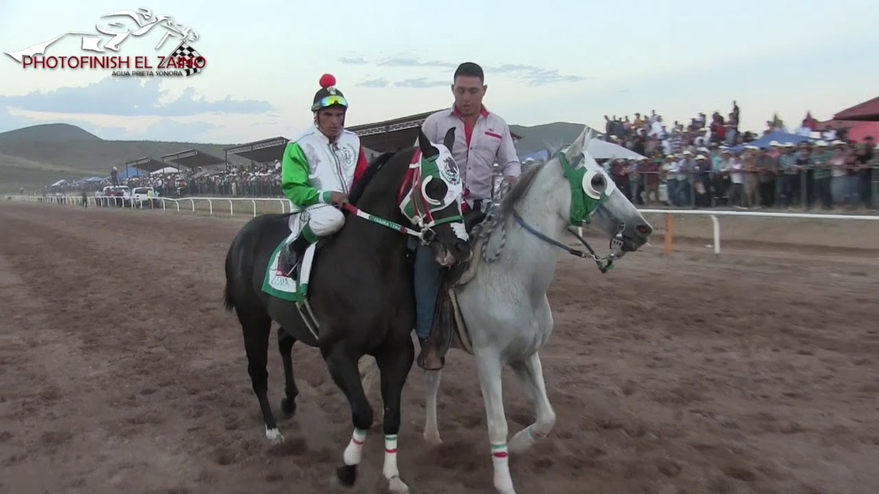 EL CHANATE VS EL D6 16SEP2018 APSON