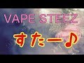 VAPE　STEEZ　STAR吸ってみるの巻き　電子タバコ