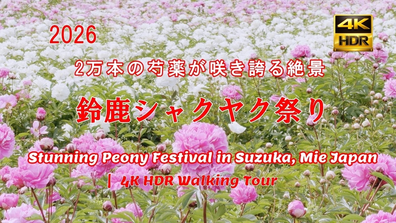 2026｜鈴鹿シャクヤク祭り 2万本の芍薬 色彩に包まれる春の花園