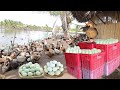 INSIDE THE MOST SUCCESSFUL DUCK FARM & CHICKEN LAYER POULTRY │ Farming│