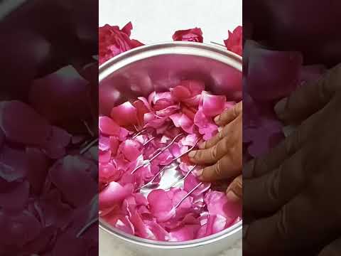 वीडियो: घर पर शुद्ध Rosewater कैसे बनाएँ