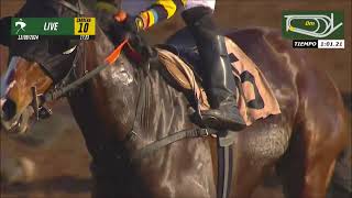 Vidéo de la course PMU PRIX DIORISIMA