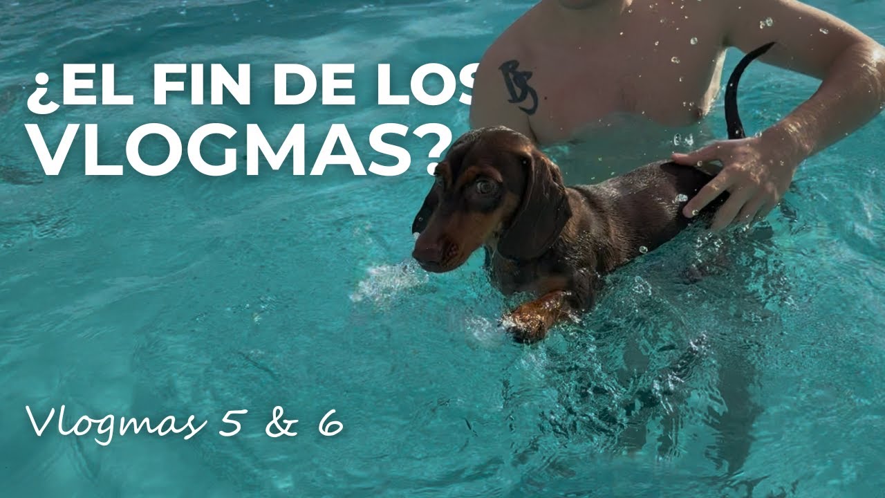 VLOGMAS #5 Y #6 | hacemos GALLETITAS DE JENGIBRE 🍪 🥛