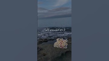 #آية_الكرسي #عبدالرحمن_مسعد #المصحف #قرآن #قران_كريم #تلاوة_خاشعة #راحة_نفسية #ارح_قلبك