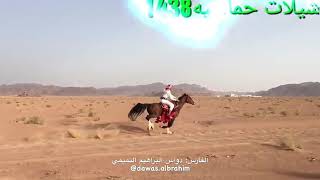 شيله ياسمو المجد هيا على راكب الخيل