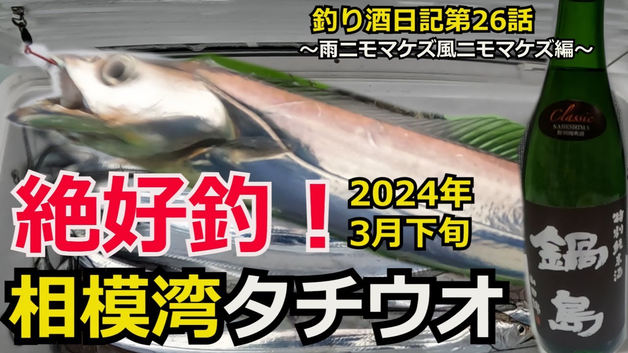 【タチウオ好釣！】相模湾太刀魚が今年は熱い！　釣ったら料理して旨い酒と頂きます！