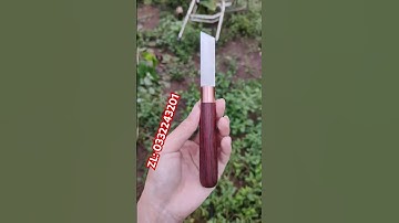 dao ghép cây cáng cẩm