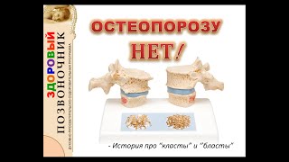 Здоровый позвоночник лекция № 7