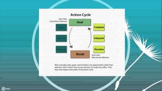 Usability Basics