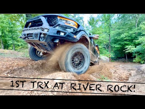 Katso, kuinka Oceanspin-kasinolla voit pelata kasinoa verkossa - Kirjaudu sisään nyt!