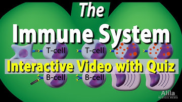The Immune System: Interactive Video with Quiz