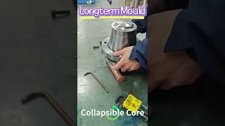 High Precision Custom Mold Component/Insert